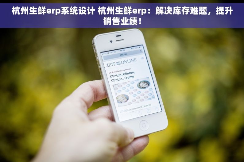 杭州生鲜erp系统设计 杭州生鲜erp：解决库存难题，提升销售业绩！