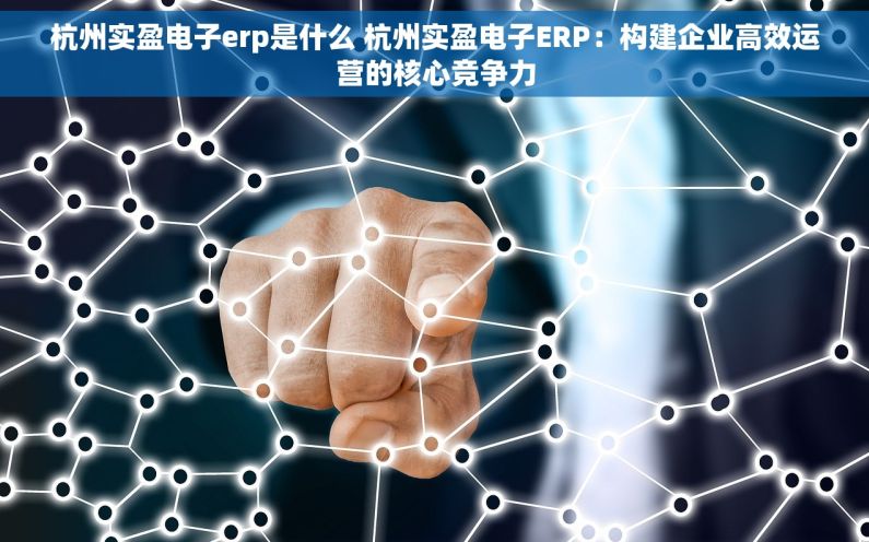 杭州实盈电子erp是什么 杭州实盈电子ERP：构建企业高效运营的核心竞争力