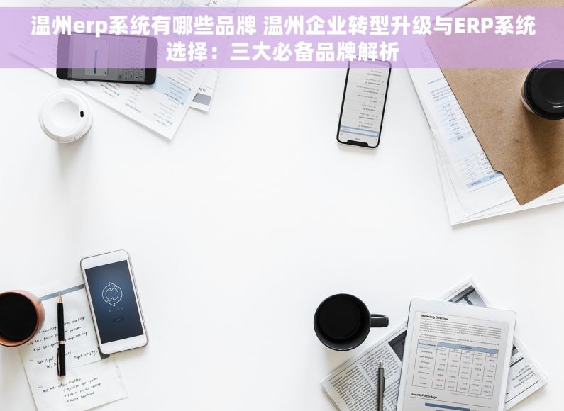 温州erp系统有哪些品牌 温州企业转型升级与ERP系统选择：三大必备品牌解析