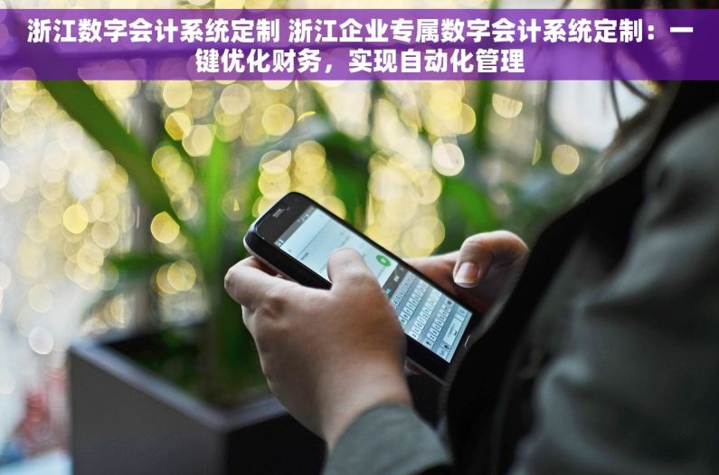 浙江数字会计系统定制 浙江企业专属数字会计系统定制：一键优化财务，实现自动化管理