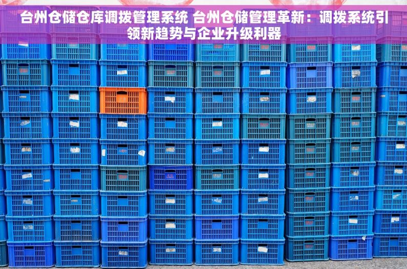 台州仓储仓库调拨管理系统 台州仓储管理革新：调拨系统引领新趋势与企业升级利器