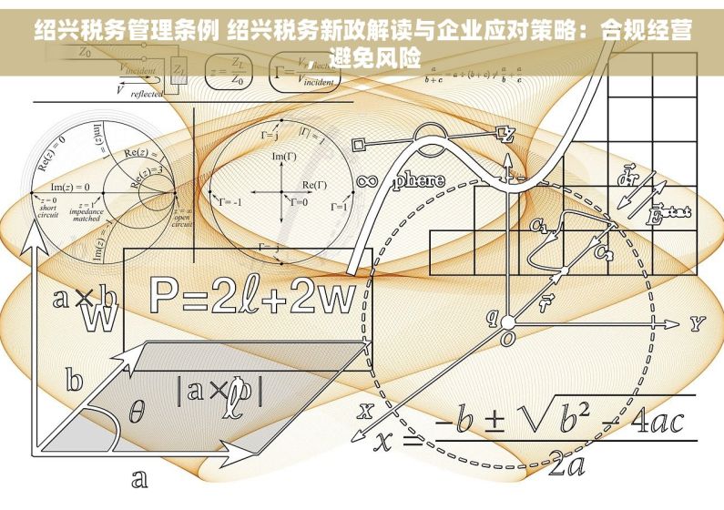 绍兴税务管理条例 绍兴税务新政解读与企业应对策略：合规经营，避免风险