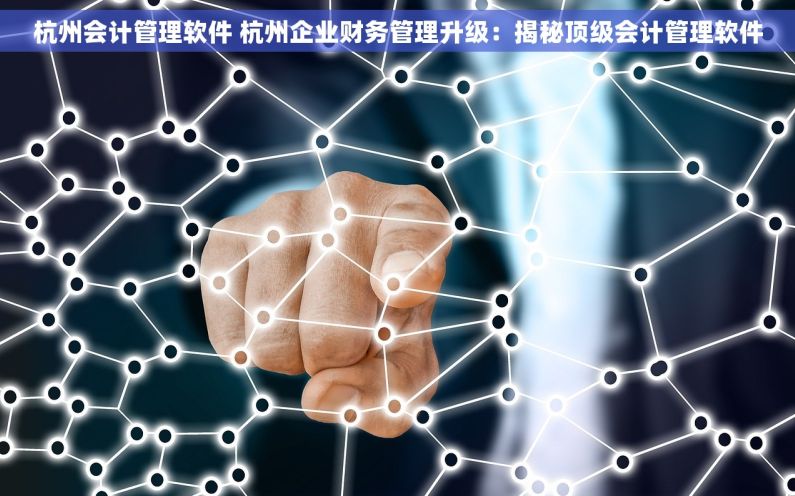 杭州会计管理软件 杭州企业财务管理升级：揭秘顶级会计管理软件