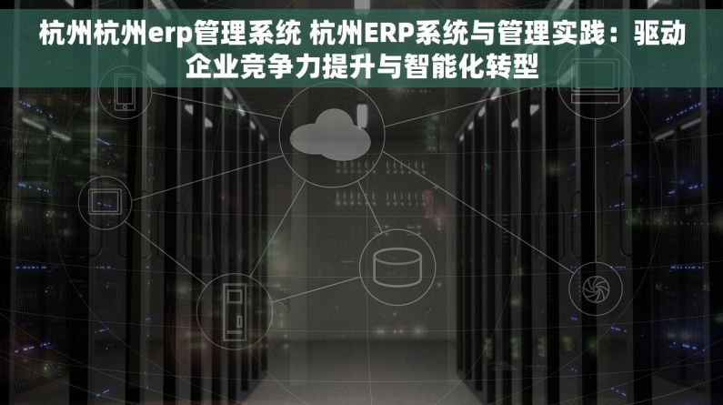 杭州杭州erp管理系统 杭州ERP系统与管理实践：驱动企业竞争力提升与智能化转型