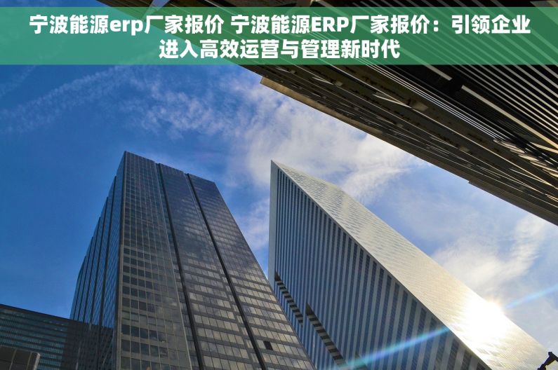 宁波能源erp厂家报价 宁波能源ERP厂家报价：引领企业进入高效运营与管理新时代