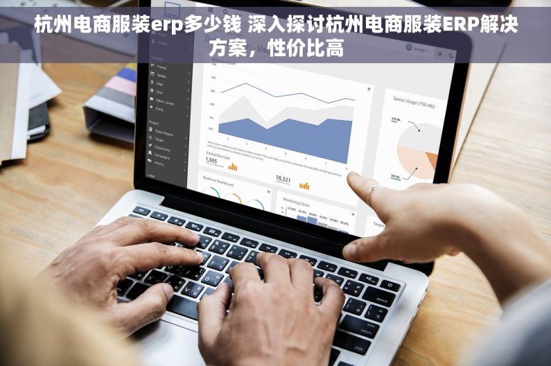 杭州电商服装erp多少钱 深入探讨杭州电商服装ERP解决方案，性价比高