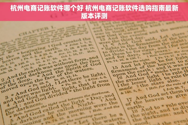 杭州电商记账软件哪个好 杭州电商记账软件选购指南最新版本评测