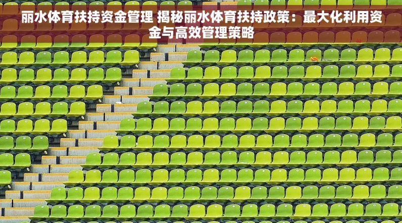 丽水体育扶持资金管理 揭秘丽水体育扶持政策：最大化利用资金与高效管理策略