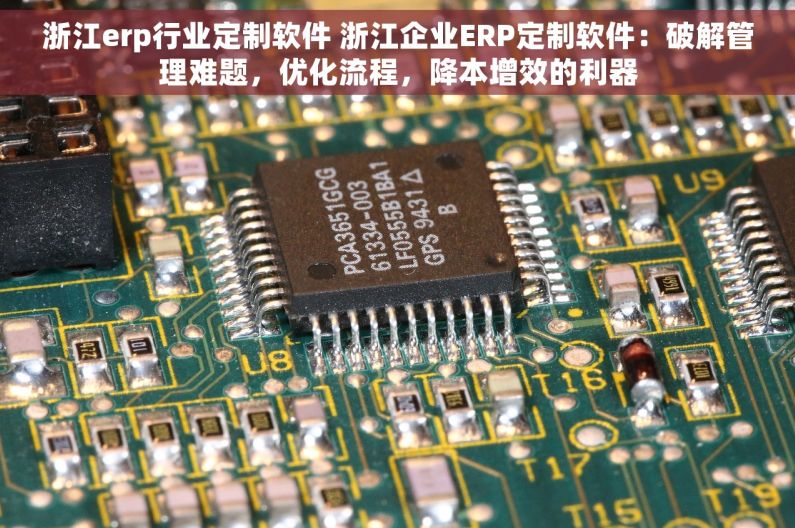 浙江erp行业定制软件 浙江企业ERP定制软件：破解管理难题，优化流程，降本增效的利器