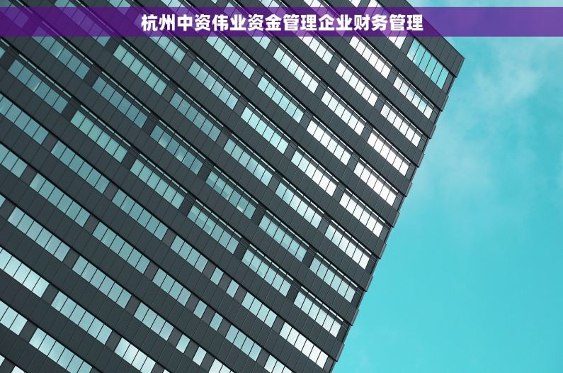 杭州中资伟业资金管理企业财务管理