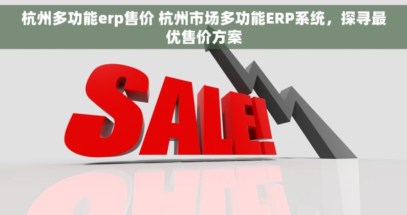 杭州多功能erp售价 杭州市场多功能ERP系统，探寻最优售价方案