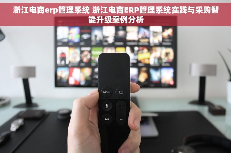 浙江电商erp管理系统 浙江电商ERP管理系统实践与采购智能升级案例分析