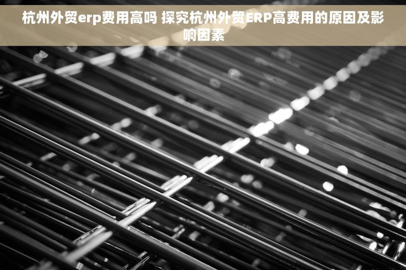 杭州外贸erp费用高吗 探究杭州外贸ERP高费用的原因及影响因素