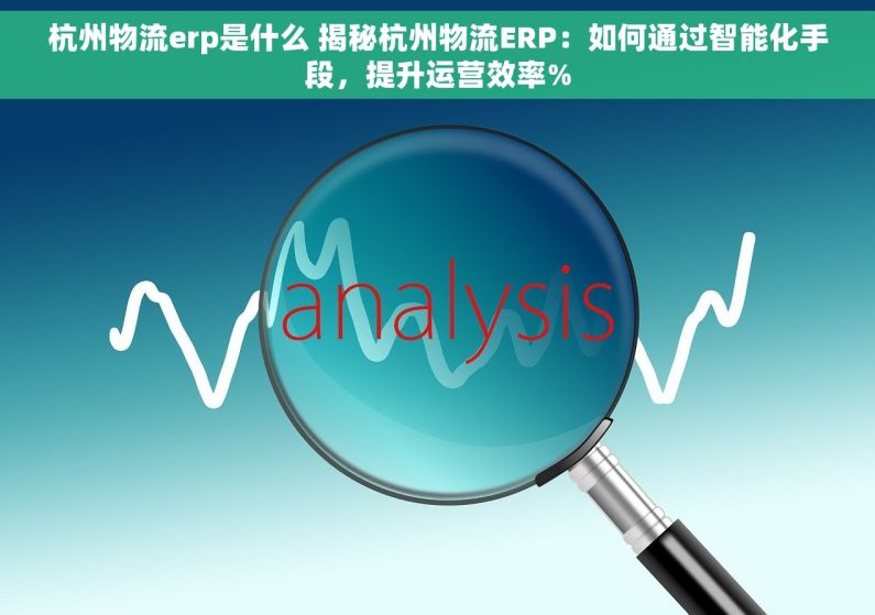 杭州物流erp是什么 揭秘杭州物流ERP：如何通过智能化手段，提升运营效率%