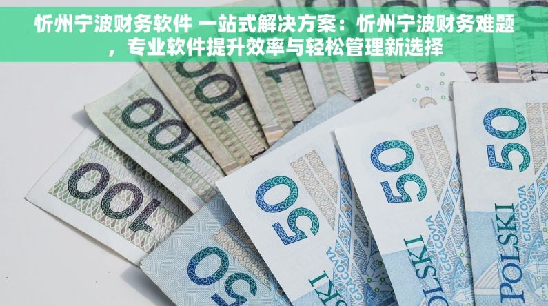 忻州宁波财务软件 一站式解决方案：忻州宁波财务难题，专业软件提升效率与轻松管理新选择