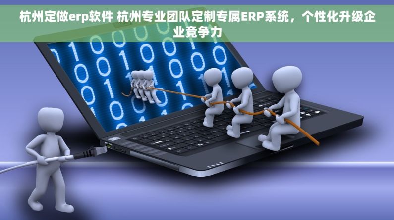 杭州定做erp软件 杭州专业团队定制专属ERP系统，个性化升级企业竞争力