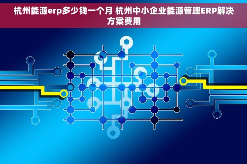 杭州能源erp多少钱一个月 杭州中小企业能源管理ERP解决方案费用