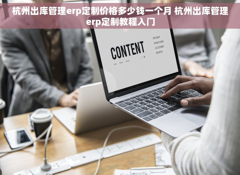 杭州出库管理erp定制价格多少钱一个月 杭州出库管理erp定制教程入门