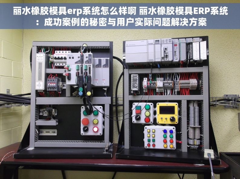 丽水橡胶模具erp系统怎么样啊 丽水橡胶模具ERP系统：成功案例的秘密与用户实际问题解决方案