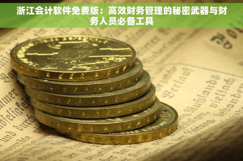 浙江会计软件免费版：高效财务管理的秘密武器与财务人员必备工具