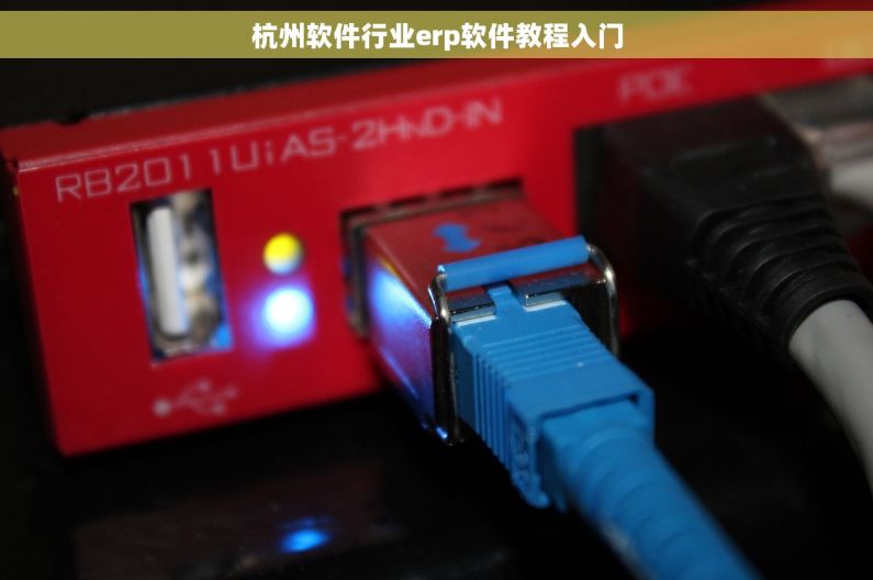 杭州软件行业erp软件教程入门