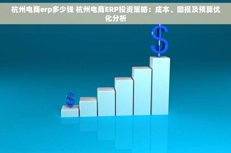 杭州电商erp多少钱 杭州电商ERP投资策略：成本、回报及预算优化分析