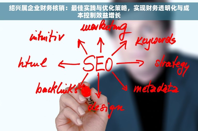 绍兴属企业财务核销：最佳实践与优化策略，实现财务透明化与成本控制效益增长