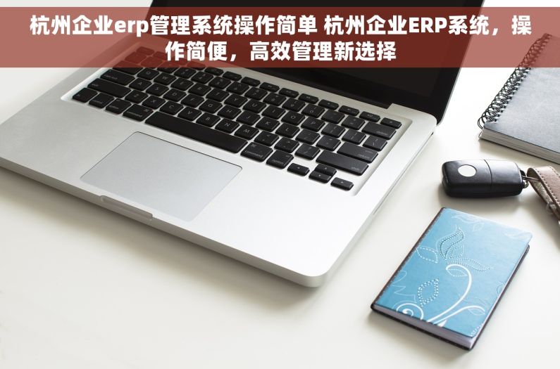 杭州企业erp管理系统操作简单 杭州企业ERP系统，操作简便，高效管理新选择