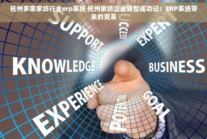 杭州多家家纺行业erp系统 杭州家纺企业转型成功记：ERP系统带来的变革