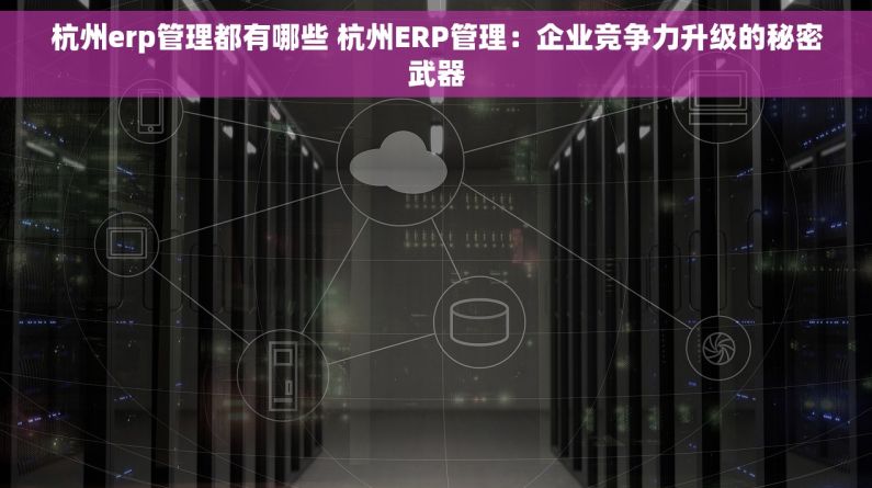 杭州erp管理都有哪些 杭州ERP管理：企业竞争力升级的秘密武器