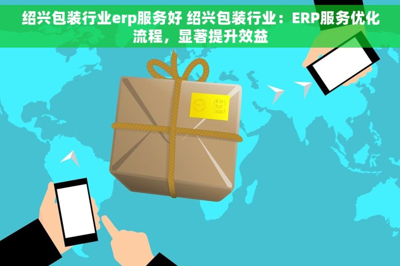 绍兴包装行业erp服务好 绍兴包装行业：ERP服务优化流程，显著提升效益