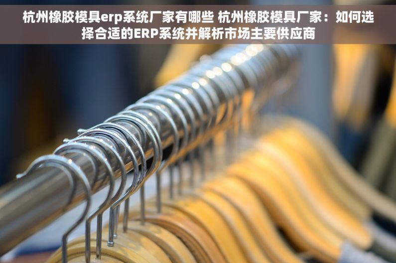 杭州橡胶模具erp系统厂家有哪些 杭州橡胶模具厂家：如何选择合适的ERP系统并解析市场主要供应商