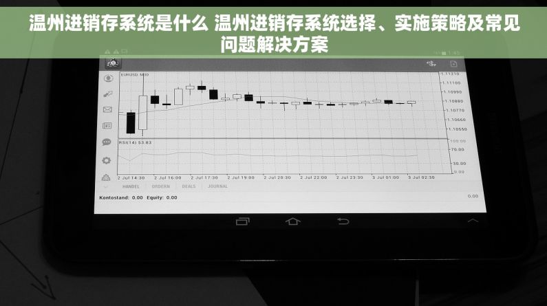 温州进销存系统是什么 温州进销存系统选择、实施策略及常见问题解决方案