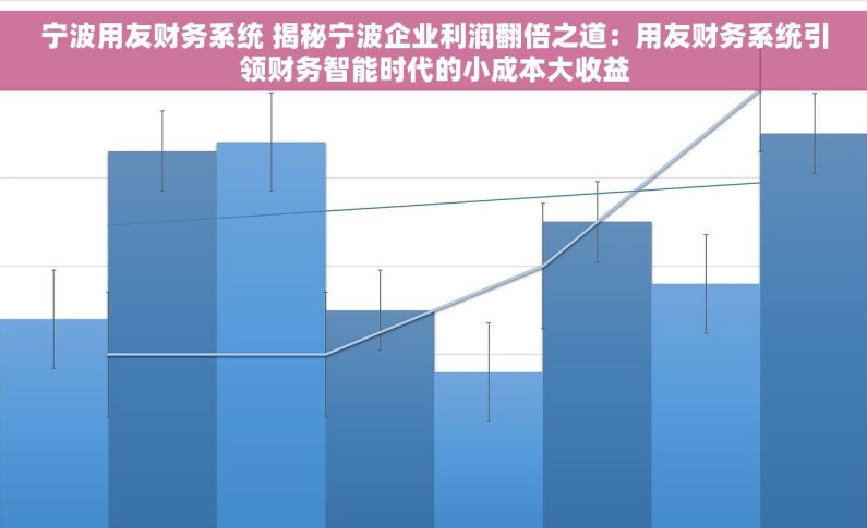 宁波用友财务系统 揭秘宁波企业利润翻倍之道：用友财务系统引领财务智能时代的小成本大收益
