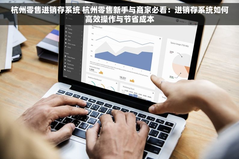 杭州零售进销存系统 杭州零售新手与商家必看：进销存系统如何高效操作与节省成本