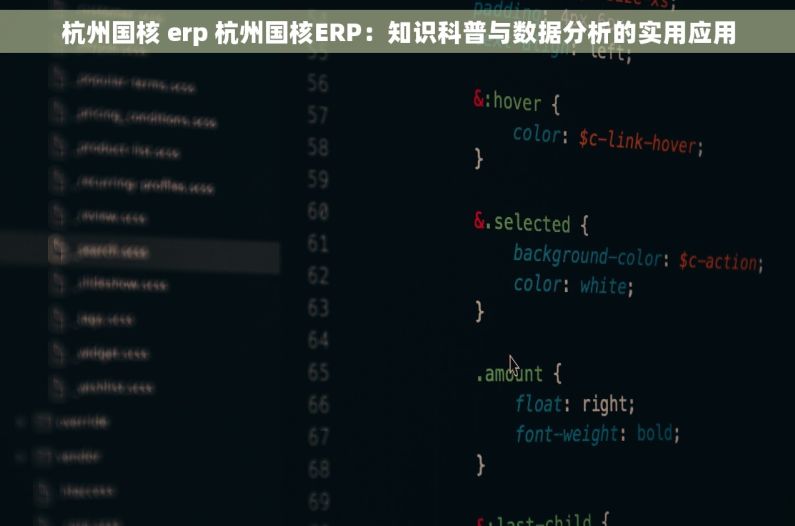杭州国核 erp 杭州国核ERP：知识科普与数据分析的实用应用