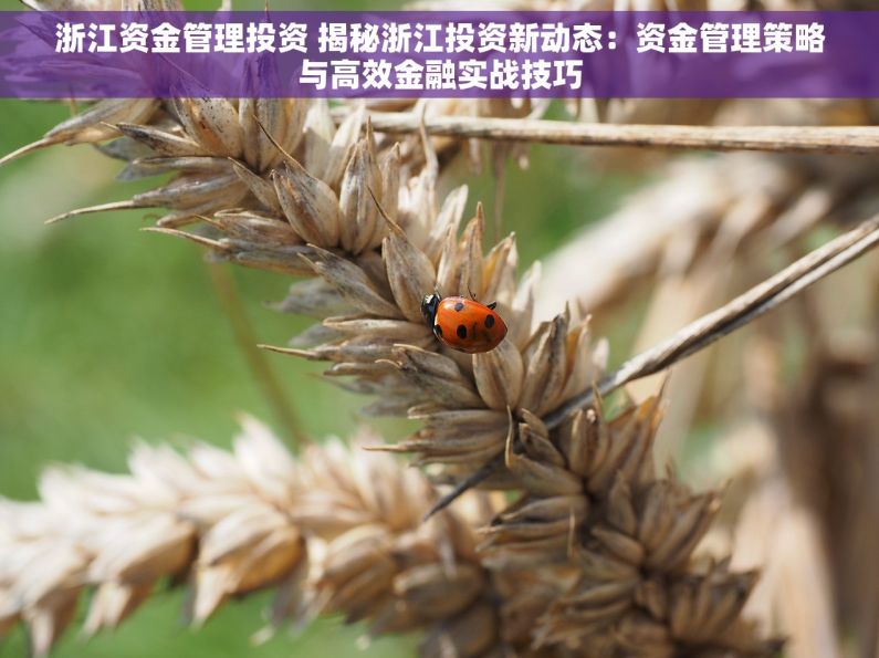 浙江资金管理投资 揭秘浙江投资新动态：资金管理策略与高效金融实战技巧