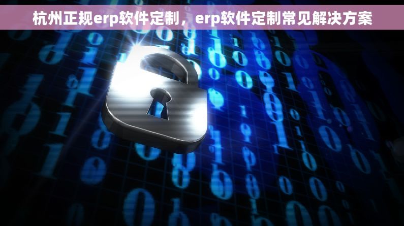 杭州正规erp软件定制，erp软件定制常见解决方案