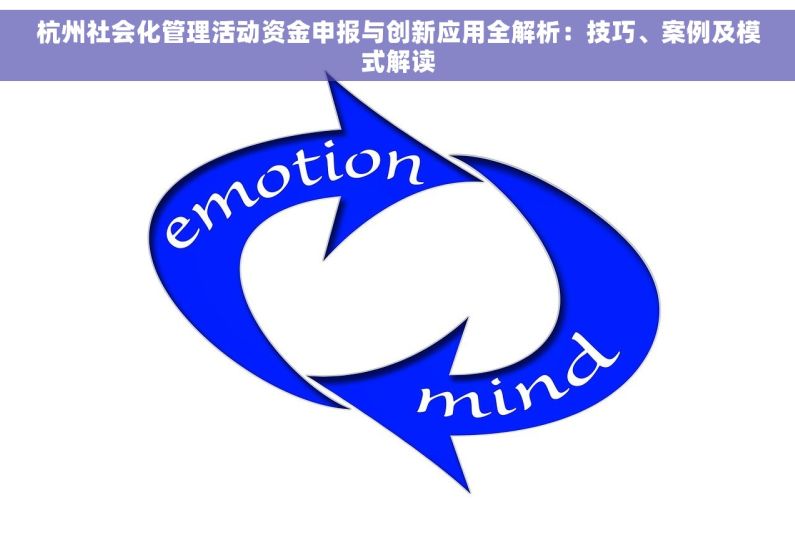 杭州社会化管理活动资金申报与创新应用全解析：技巧、案例及模式解读