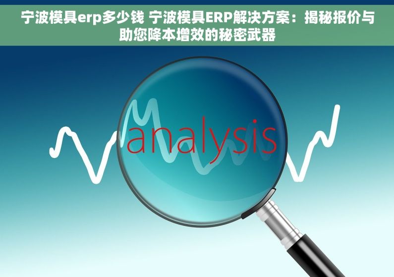宁波模具erp多少钱 宁波模具ERP解决方案：揭秘报价与助您降本增效的秘密武器
