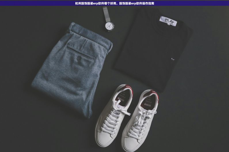 杭州服饰服装erp软件哪个好用，服饰服装erp软件操作指南