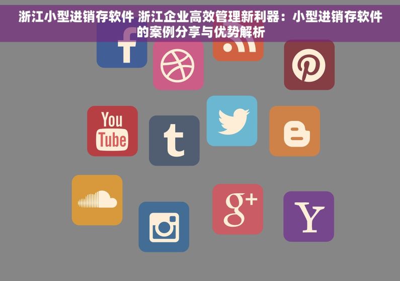 浙江小型进销存软件 浙江企业高效管理新利器：小型进销存软件的案例分享与优势解析