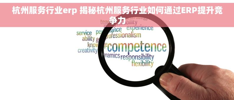 杭州服务行业erp 揭秘杭州服务行业如何通过ERP提升竞争力