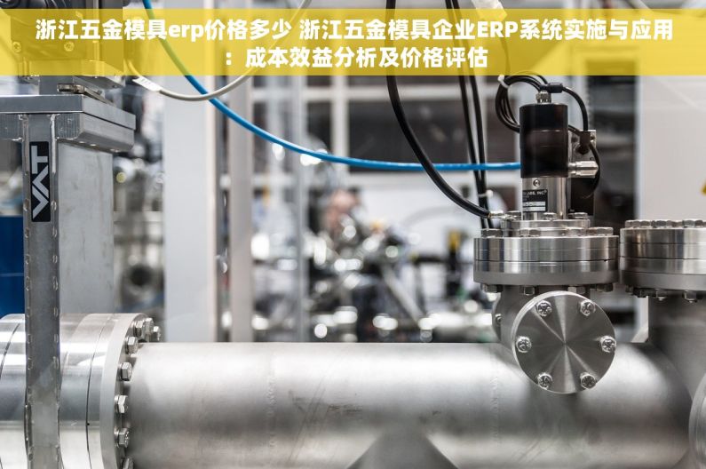 浙江五金模具erp价格多少 浙江五金模具企业ERP系统实施与应用：成本效益分析及价格评估
