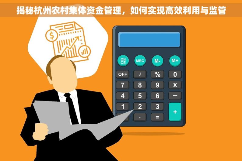揭秘杭州农村集体资金管理，如何实现高效利用与监管