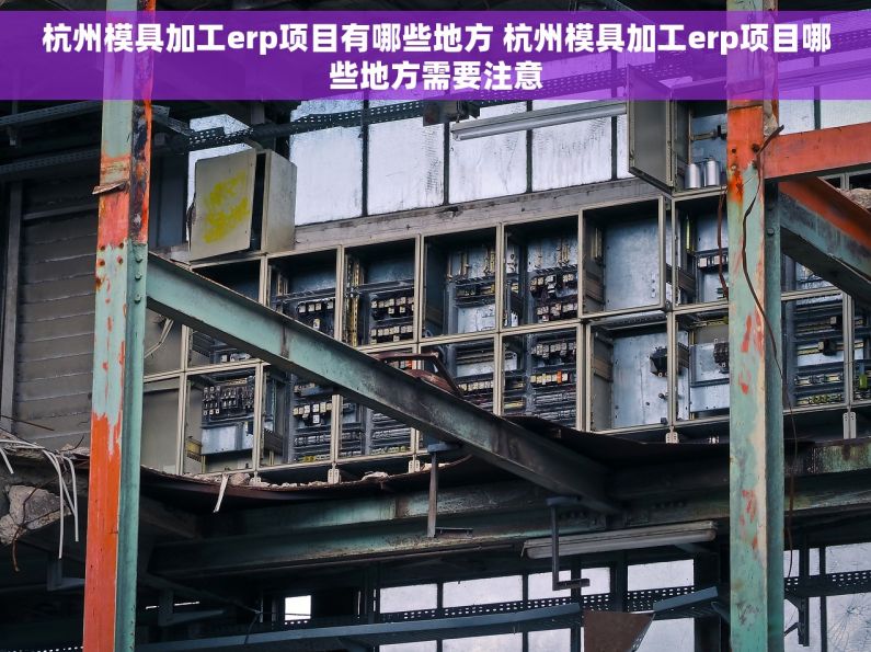 杭州模具加工erp项目有哪些地方 杭州模具加工erp项目哪些地方需要注意