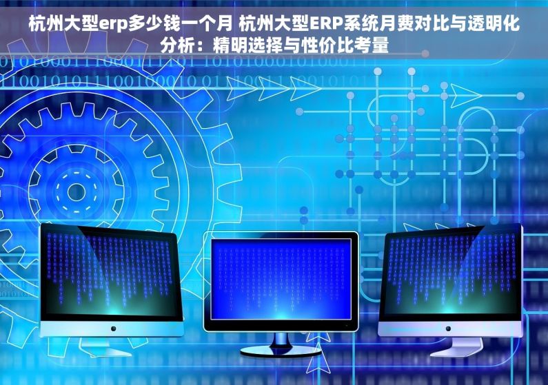 杭州大型erp多少钱一个月 杭州大型ERP系统月费对比与透明化分析：精明选择与性价比考量