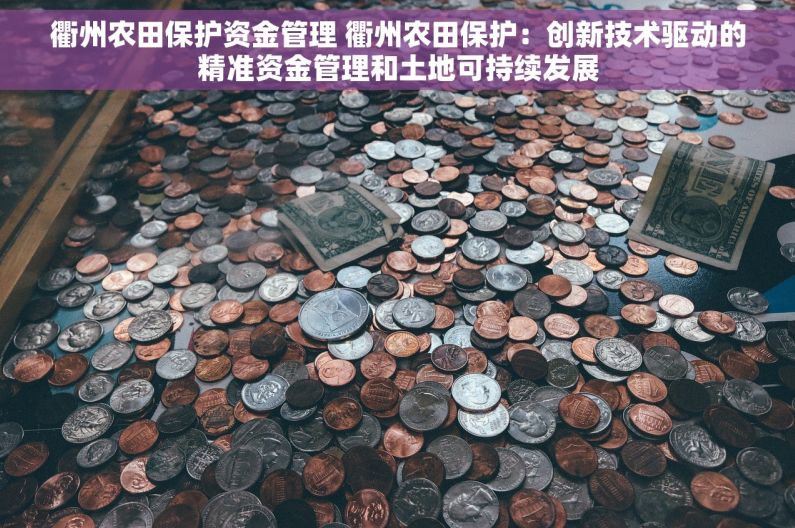 衢州农田保护资金管理 衢州农田保护：创新技术驱动的精准资金管理和土地可持续发展