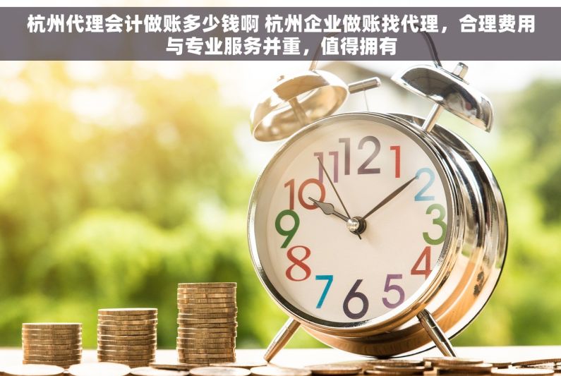杭州代理会计做账多少钱啊 杭州企业做账找代理，合理费用与专业服务并重，值得拥有