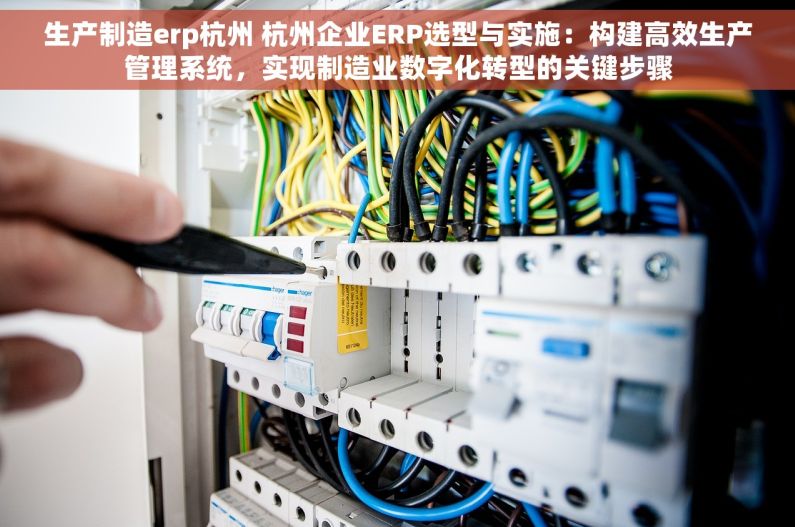 生产制造erp杭州 杭州企业ERP选型与实施：构建高效生产管理系统，实现制造业数字化转型的关键步骤